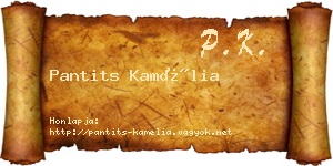 Pantits Kamélia névjegykártya